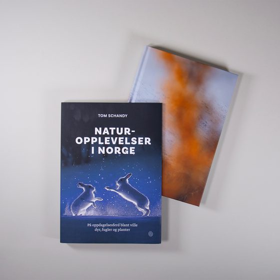 01 naturopplevelser i norge