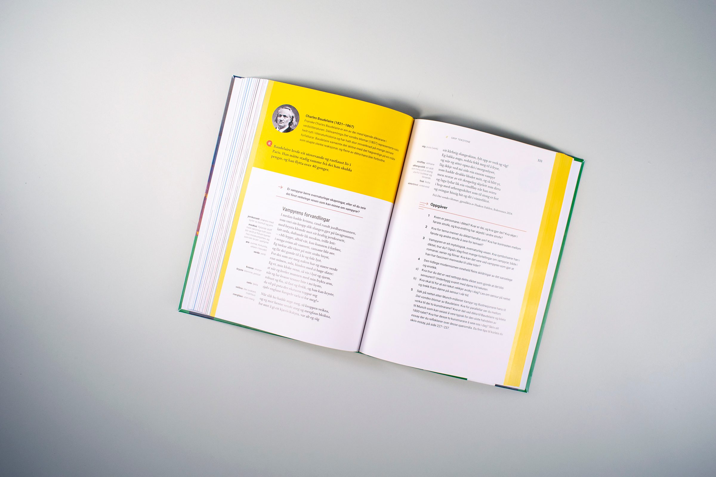 Et oppslag fra boken hvor det blir presentert en tekst med tilhørende oppgaver. Øverst er det en faktaboks om forfatter av teksten.