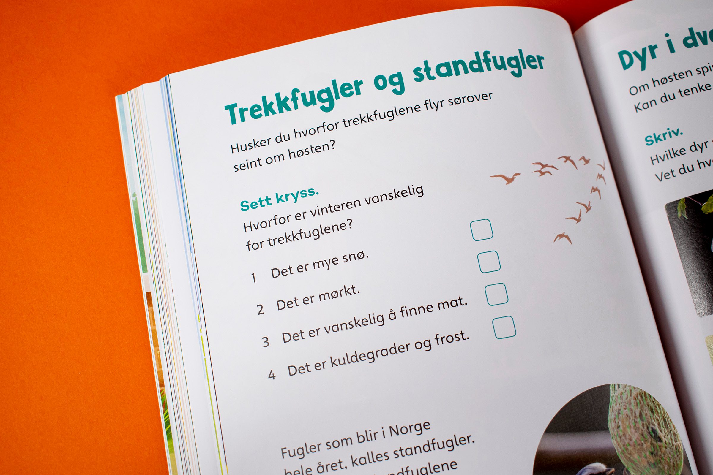 Et detaljfoto av en oppgave i boken.
