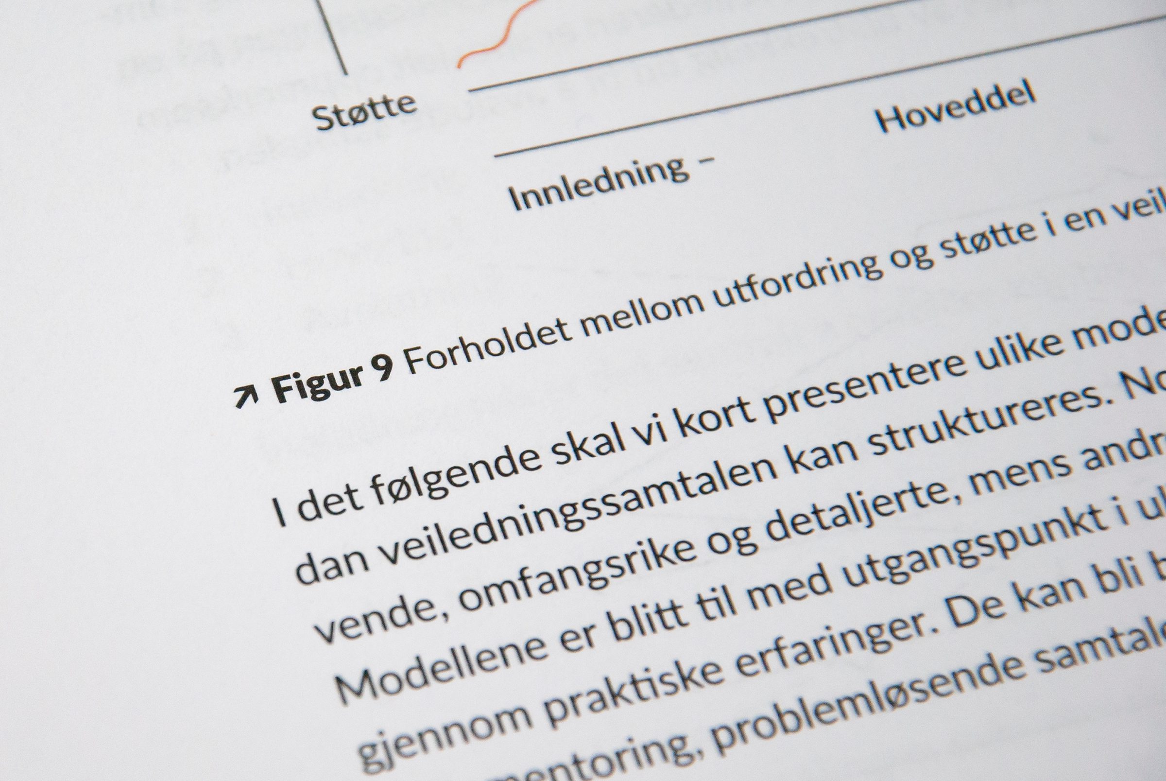 Bildet viser et nærbilde av figurteksten i boken.