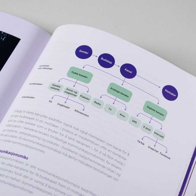 Bildet viser et utsnitt av en side i Visjon 2. Øverst på høyre siden er det en illustrasjon, som viser et diagram.