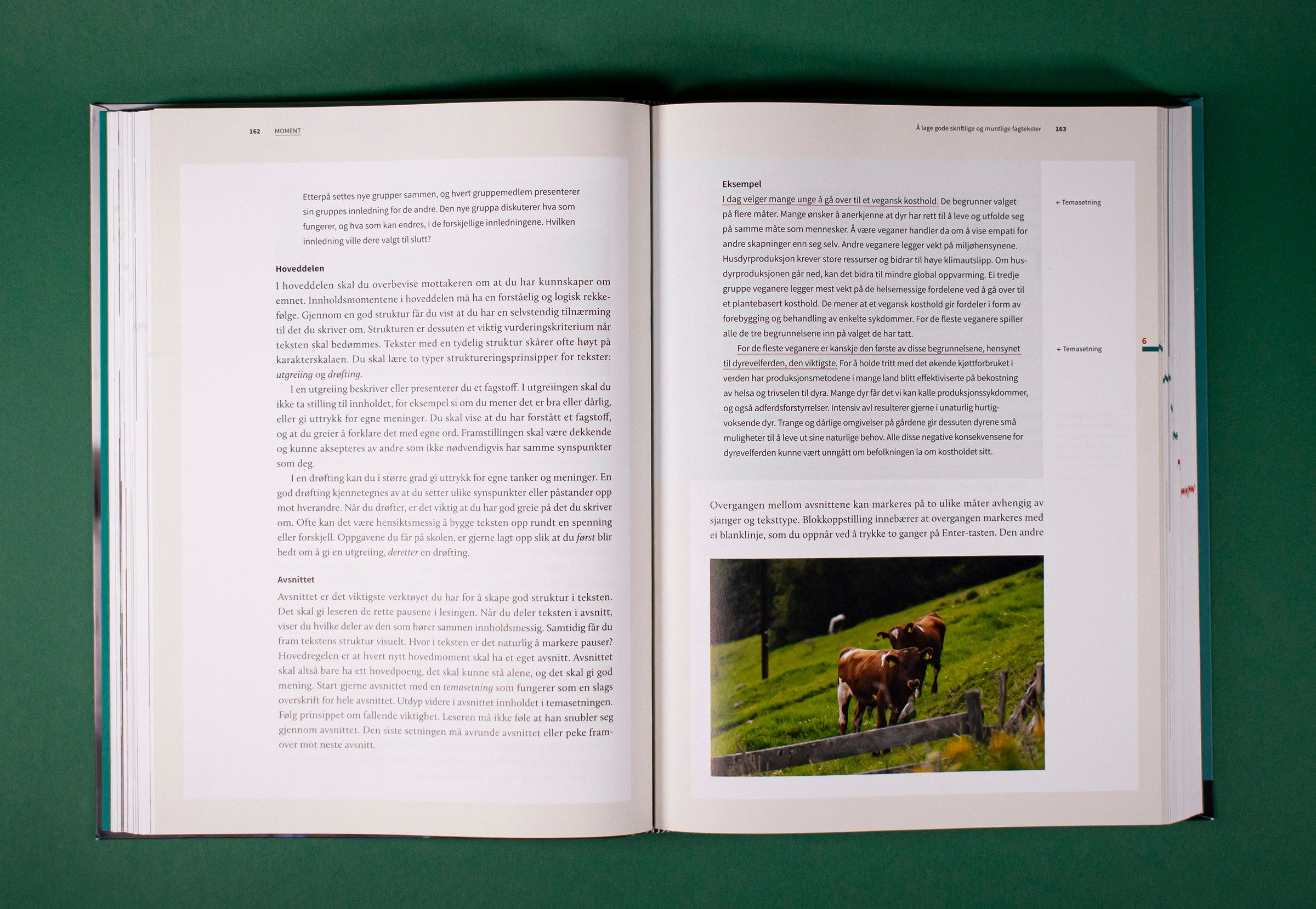 Bildet viser et oppslag i boken bestående av brødtekst, sitat og et bilde med bildetekst