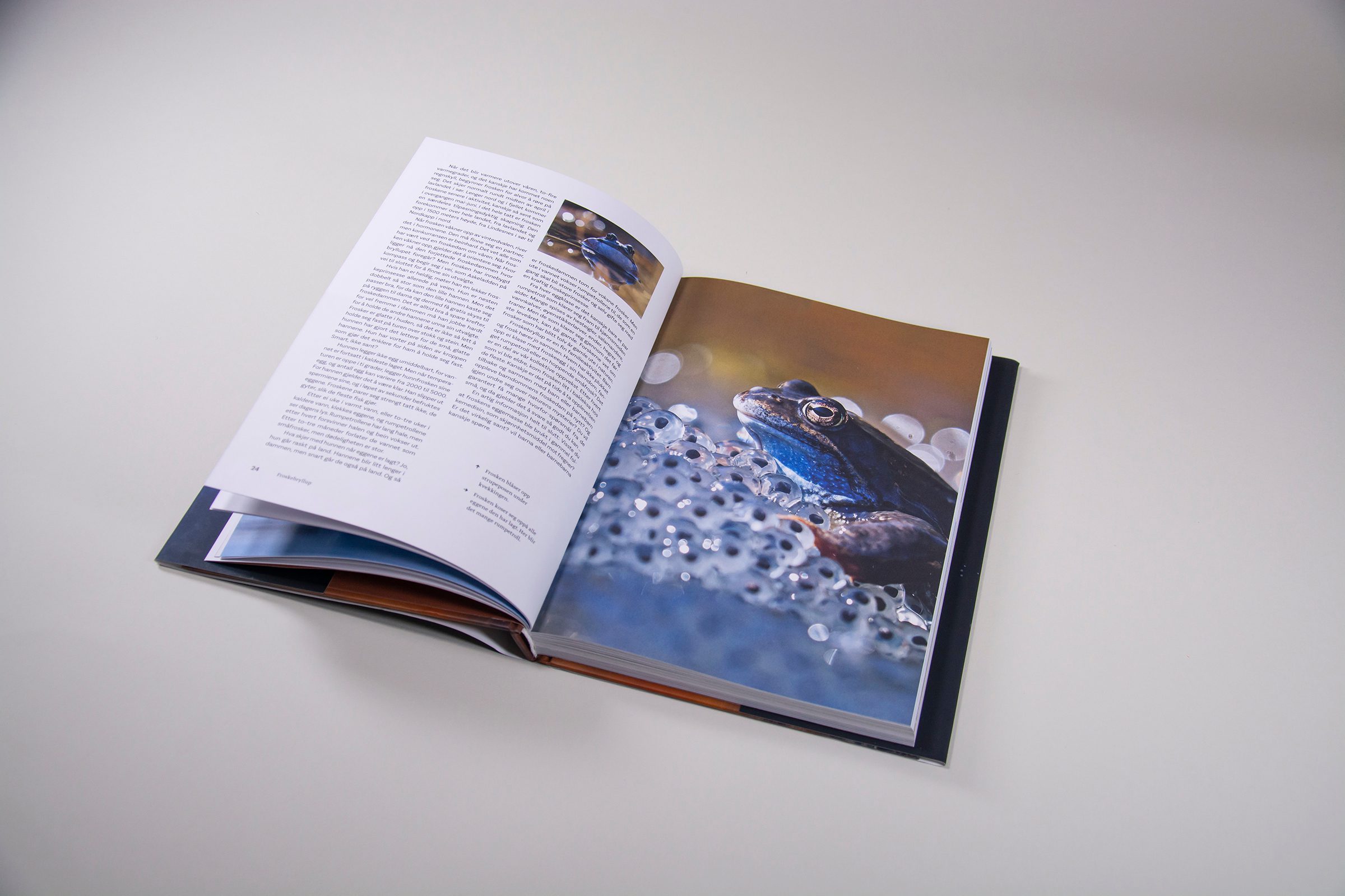 03 naturopplevelser i norge
