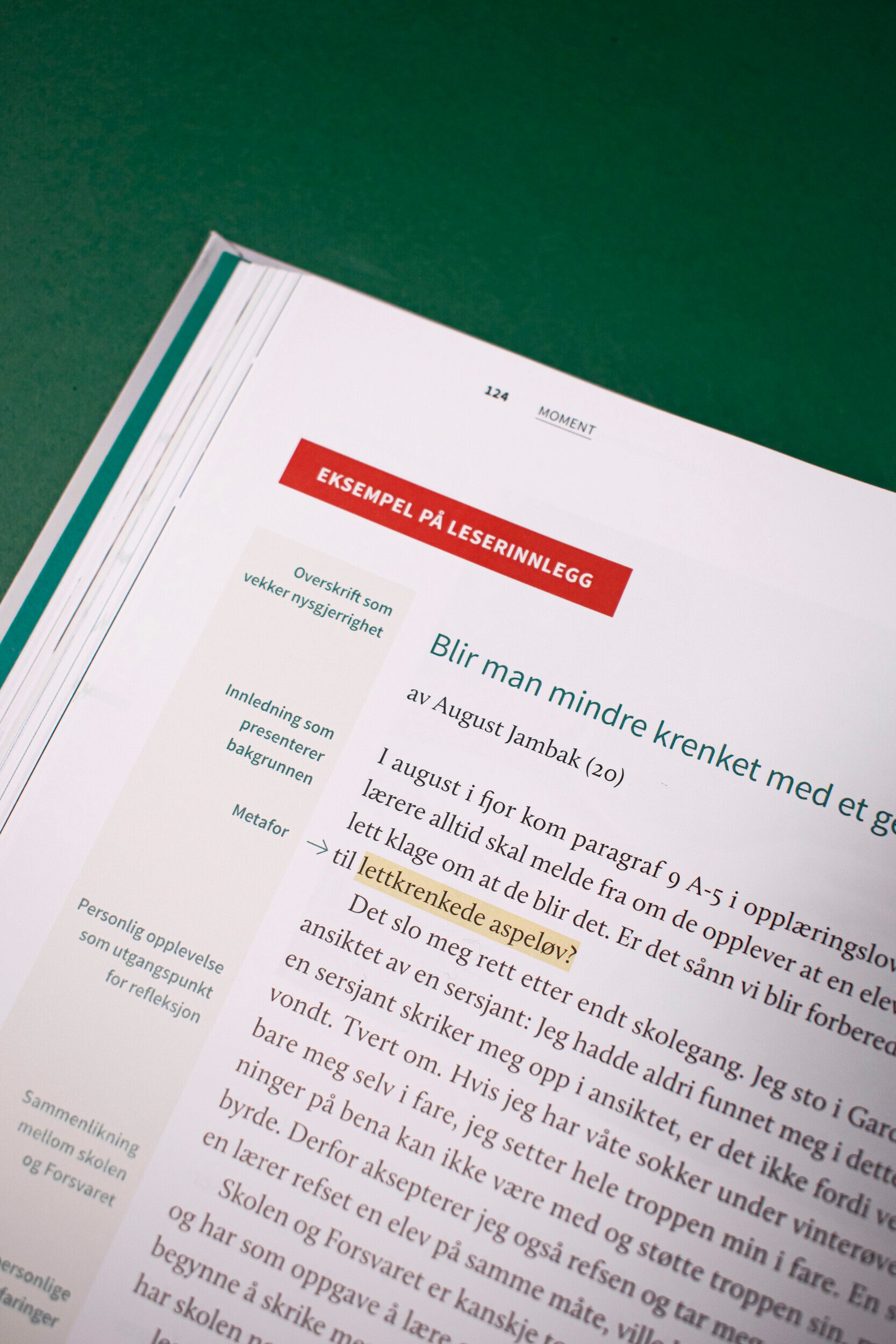 Bildet viser en detalj av fanen som presenterer "Eksempel på leserinnlegg"