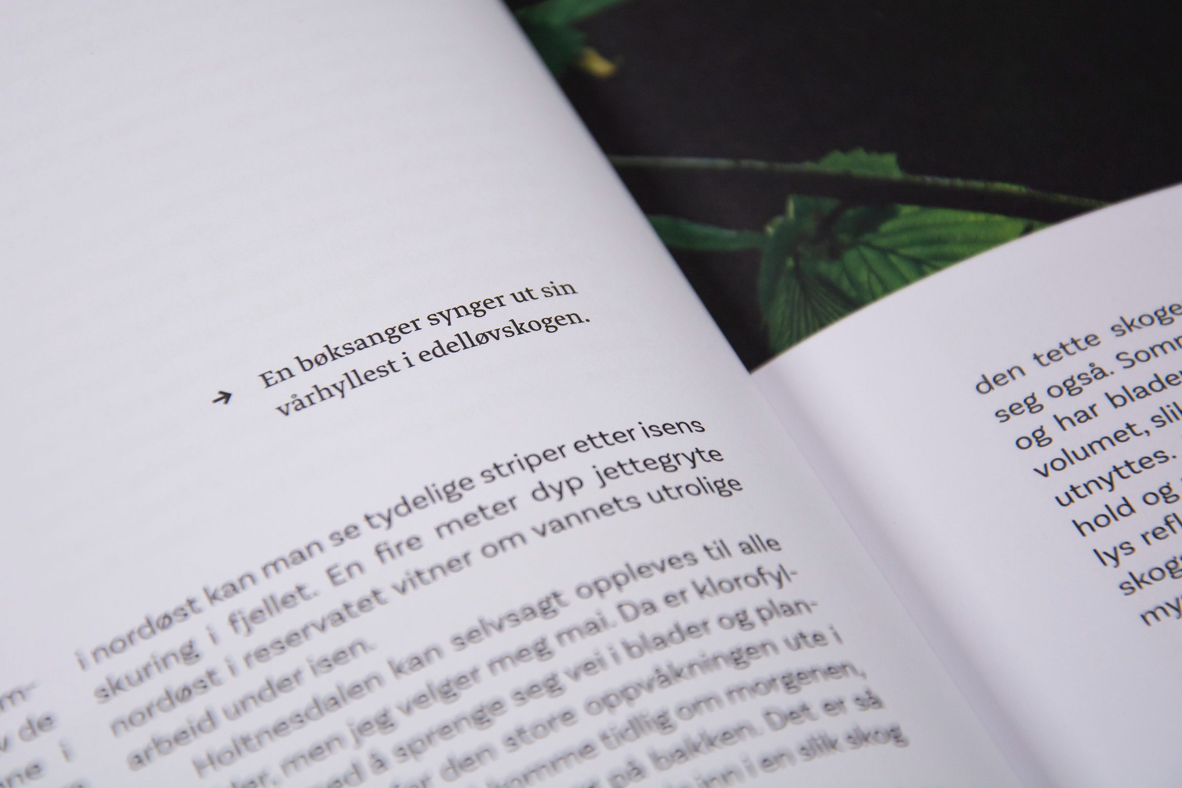 04 naturopplevelser i norge