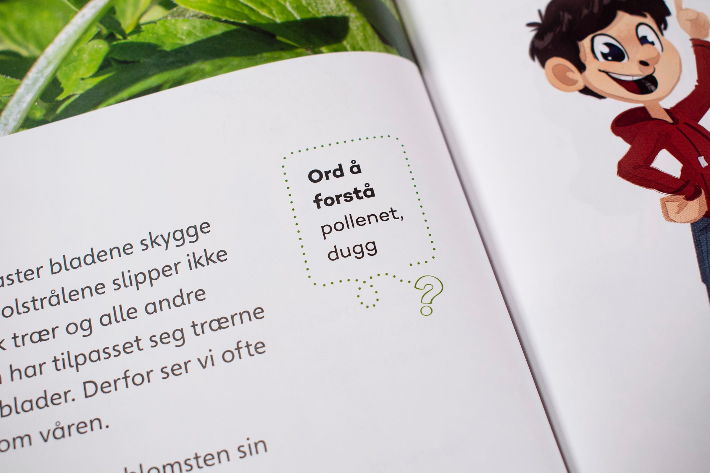 Et detaljbilde av "ord å forstå" fra en av bøkene for de yngre barna.
