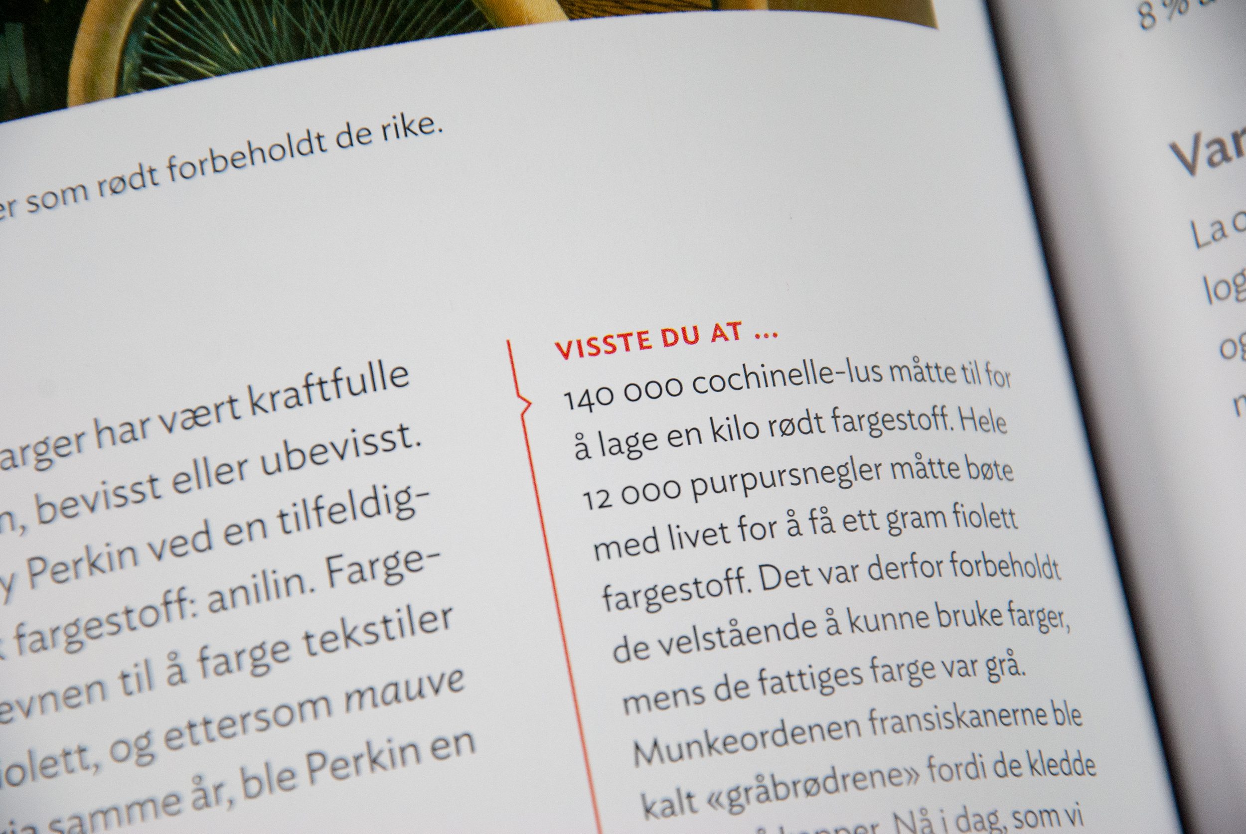 Bildet viser et nærbilde av tekstboksen "Visste du at...". Den har en strek i margen med en liten pil som peker mot teksten i faktaboksen.