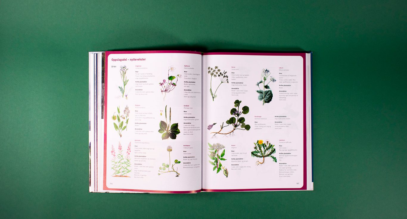 Bildet viser et oppslag av spiselige vekster, presentert som en tradisjonell skoleplansje. Hver plante er tegnet, med en liten tekst med fakta om hver plante ved siden av.