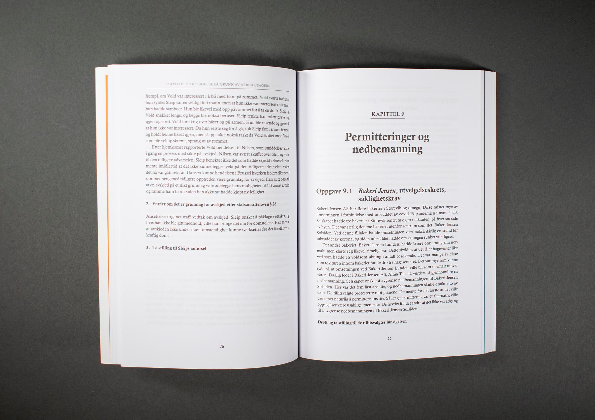 Bildet viser et oppslag bestående av ulike tekstelementer som for eksempel kapittelstart, en mellomtittel og fremhevet tekst.