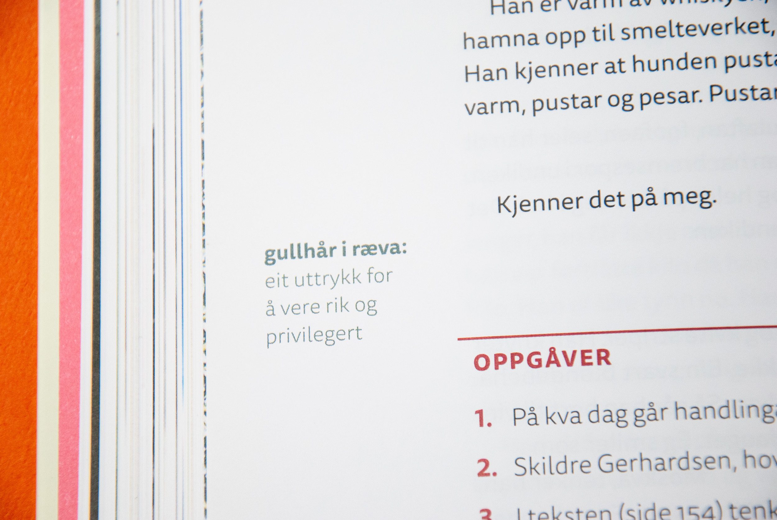 Dette er et nærbilde av en margtekst.